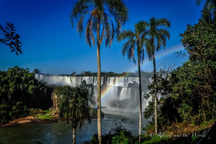 A view of Iguazu Falls between three palm trees. There is a rainbow across the front of the falls. Iguazu Falls is just one of the many natural wonders you can see on this Argentina 14 day itinerary